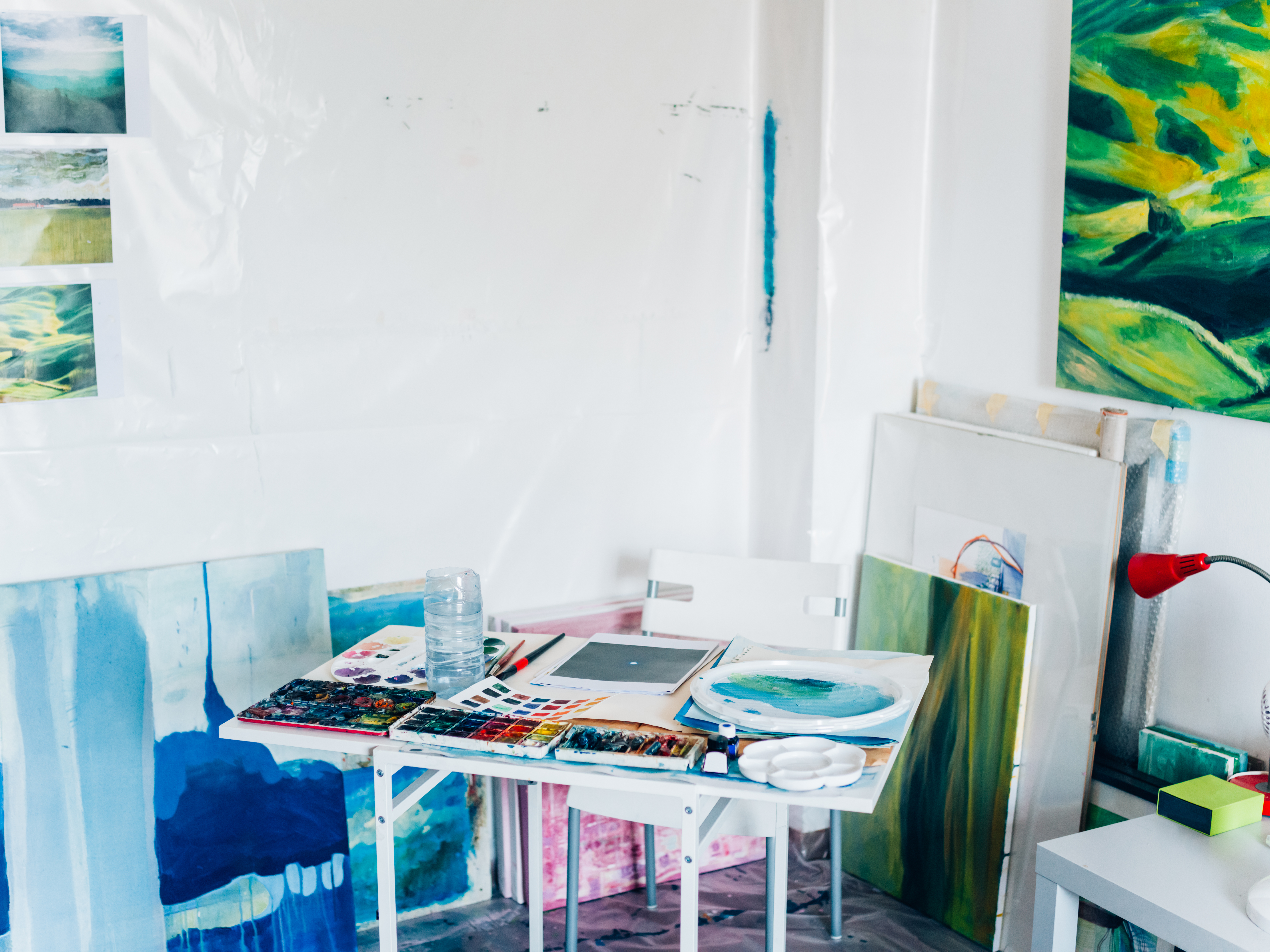 Professional Painter